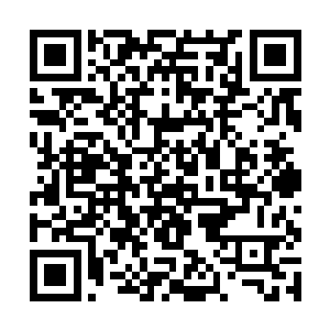 就知道皇家马德里私底下和荣光的接触肯定是失败了二维码生成