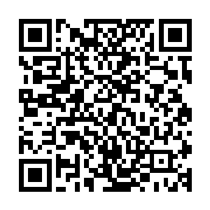 就知道纳甲土尸拿来的这块菱形玉石肯定是打开石门的钥匙了二维码生成