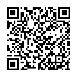 就知道自己已经被守护在这里的吞党骑士发现了二维码生成