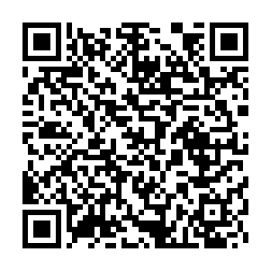 就知道这两头可怜的小家伙已经被双蛇教令人作呕的气息弄得很麻木了二维码生成