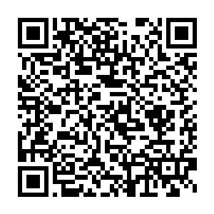 就知道这小丫头一定是看了学院门公告栏上面显示的比试的项目了二维码生成