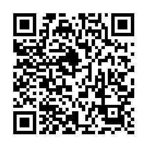 就砸在正钻在草丛里寻找石匣的江少游的面前三米远处二维码生成