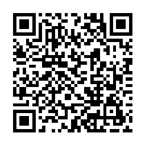 就碰到了之前和自己一起从自习室回来的女伴孙如晶二维码生成