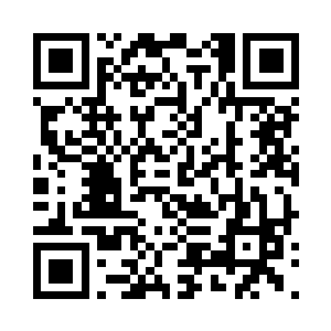 就移栽了两颗起码有着三百年历史的桂花树二维码生成