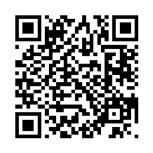 就稍微照看一下刚刚得来的落星犬幼体二维码生成