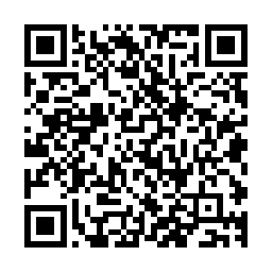就立即发现了变成成年人大小的小白虎和器灵所化的中年男子二维码生成