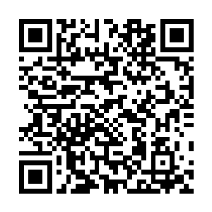 就立即带着夏玉梅和小云以及赵风和一队机器人战士小队二维码生成