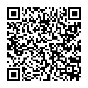 就算…………就算是仅仅为了安慰唐胖子和李玲这样的普通的善良的人二维码生成