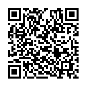 就算丁铃铛这样受伤不重的强者也消耗了太多灵能二维码生成