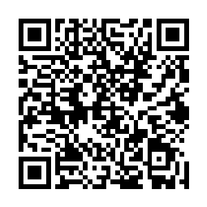 就算万界商盟和四大家族联合舰队加在一起的所有人都是猪二维码生成