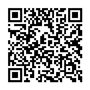 就算下一个进来的是少女时代我也不会感觉意外二维码生成