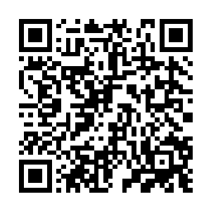 就算不怕死的金甲卫也不禁带着骑行兽后退好几步二维码生成