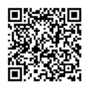 就算东方群域那三大妖孽都对这位驸马爷有着不小的意见二维码生成