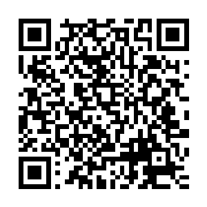 就算两人是化神后期的修士对方也没有必要要和两人结交什么二维码生成