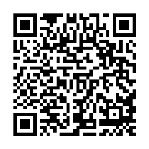 就算两只手都有能力炼制丹药的炼药师也是不会练习用两只手的二维码生成