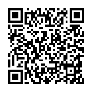 就算两百多名妖皇或两名大名问道修士一同出手二维码生成