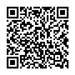 就算两艘星君舰到场又怎么比得上整个七杀大阵支援二维码生成