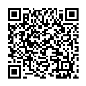 就算什么都不做也行――我们就只是安静地看着他陪着他二维码生成