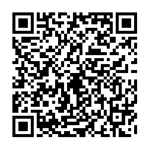 就算他从出生开始每天二十四小时不断战斗也不可能达到现在这个水平吧二维码生成