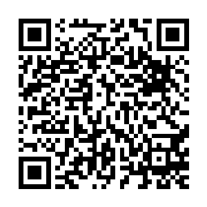 就算他们有足够的天材地宝和晶矿也根本无法兑换到一颗蟠桃二维码生成