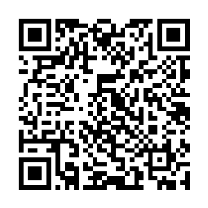 就算他们背后的元觉洞和凌霄教都能直接横扫过去了二维码生成