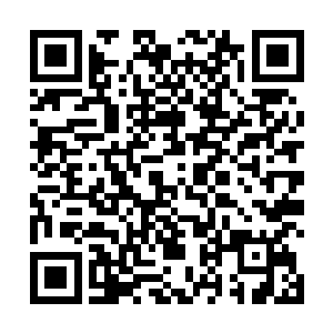 就算他们输给了瓦斯科达伽马也影响不到他们的排名了二维码生成