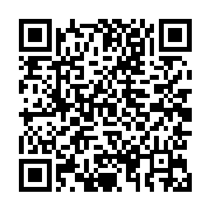 就算他参悟他人相关的霸道力量来演化出自己的霸道意志二维码生成