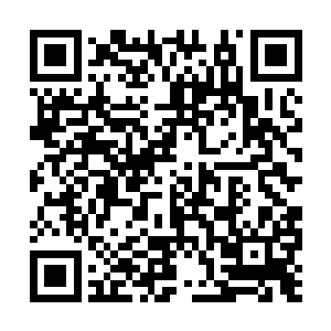 就算他只能把以前曾供职的海运公司的业务揽下来二维码生成