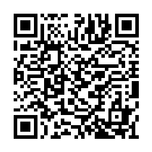 就算他是乔家族长也不能够随意支出家族的仙晶二维码生成