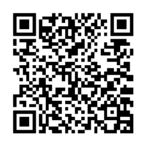 就算他本人不似书呆子一样非要对方像教条一样遵守一些东西二维码生成