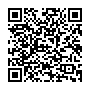 就算仙宫之内的专家学者们可以把脑袋埋入沙砾中二维码生成