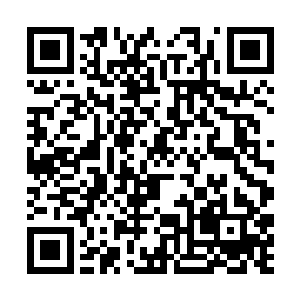 就算以最快速度横穿过迷失森林也至少需要数个时辰二维码生成
