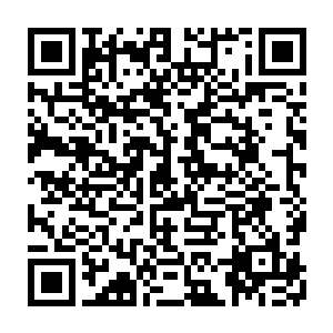 就算以这两只海龟生活了两千余年所凝炼的精神意念面对如此浩瀚庞大的信息二维码生成