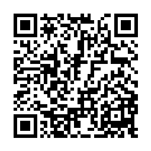 就算你你能煽动两三个小伙伴和你一起去山上打蛇二维码生成