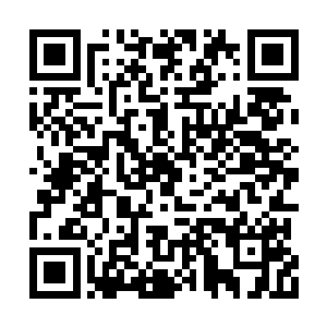 就算你在婚礼现场外面一个人的注意都吸引不到二维码生成