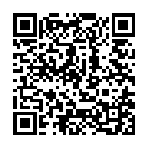 就算你带了一千个一万个人来整我我都不会多说什么二维码生成