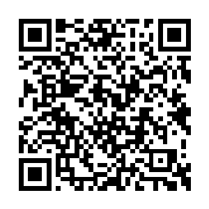 就算你把小时候和她打架打输的事情说上无数遍二维码生成