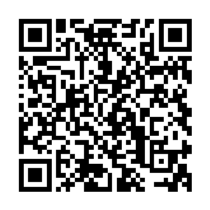 就算你收集的东西再多也不过是从左边口袋放到右边口袋而已二维码生成