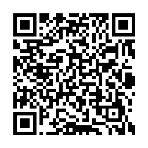 就算你真能吸引翡翠大陆上一半的雌性哺乳动物二维码生成