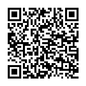 就算你能够忍受每天有一张满是恶疮令人作呕的脸在你面前晃荡二维码生成