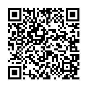 就算你获得神藏……也改变不了人族覆灭的命运二维码生成