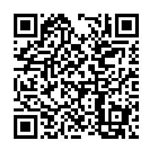 就算做梦也没想到秦林竟会认为山腹之中有座金矿二维码生成