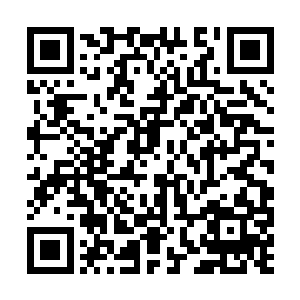 就算别人告诉她秦林能一个筋斗云跳出十万八千里二维码生成