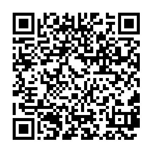 就算剑尘的实力真的强大到一个连他们四人联手都无法对抗的地步二维码生成
