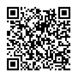 就算只剩下牙齿也要咬死对方的那种执着的残酷感二维码生成