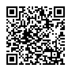 就算各大家族的人来请都哼哼鼻子表示不见的主二维码生成