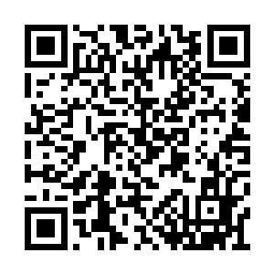 就算四个月内让其巩固领域境实力达到这种地步二维码生成