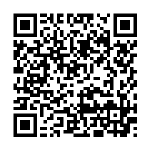 就算在四大家族治下的几个核心世界都不怎么好使二维码生成