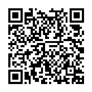 就算在诸圣时代你们都不可能有机会冲击圣人境界二维码生成