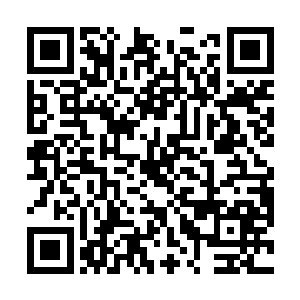 就算夏天是国家首长的亲信也不可能有这么高的军衔吧二维码生成